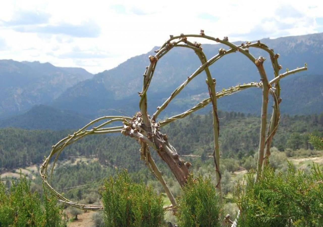 Casas Rurales Mirador Del Mundo Yeste Kültér fotó